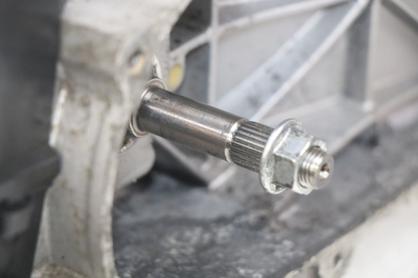 photo de MOTEUR JM MOTORS OLDIES RS 4T 50 (2021 - 2024)