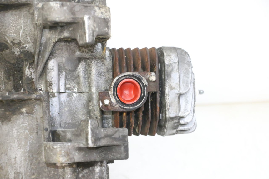 photo de MOTEUR PEUGEOT CITYSTAR 2T 50 (2018 - 2021)