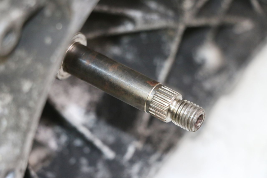 photo de MOTEUR PEUGEOT ELYSTAR 50 (2002 - 2014)