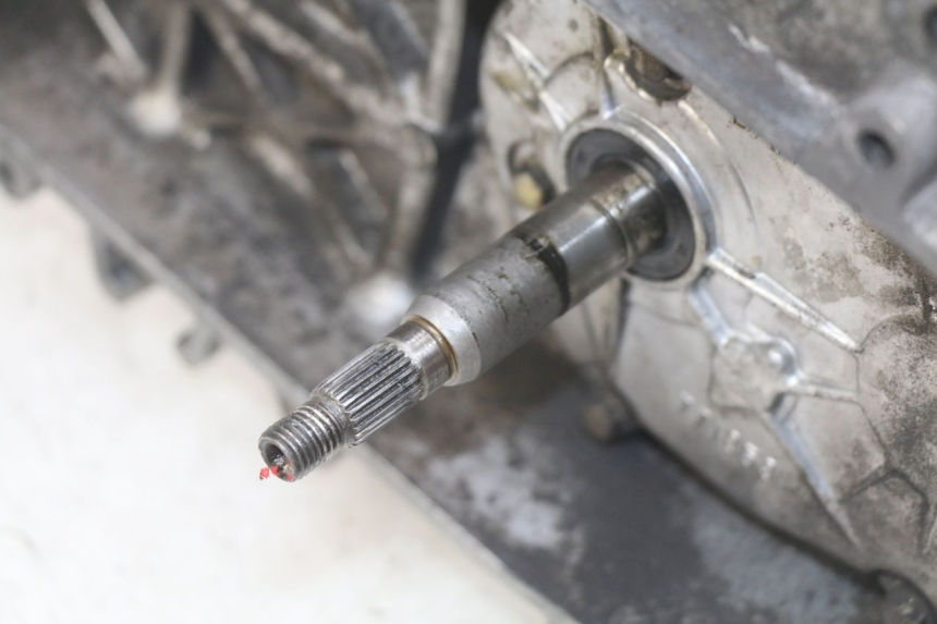 photo de MOTEUR PEUGEOT VIVACITY NEW 2T 50 (2008 - 2017)