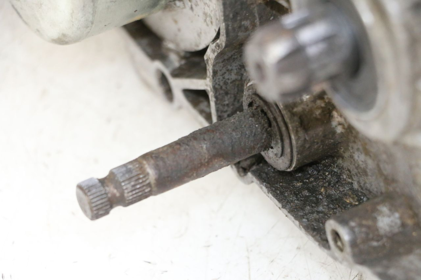 photo de MOTEUR YAMAHA PW 80 (1983 - 2014)