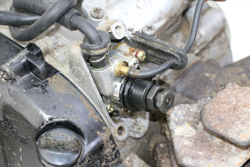 photo de MOTEUR YAMAHA PW 80 (1983 - 2014)