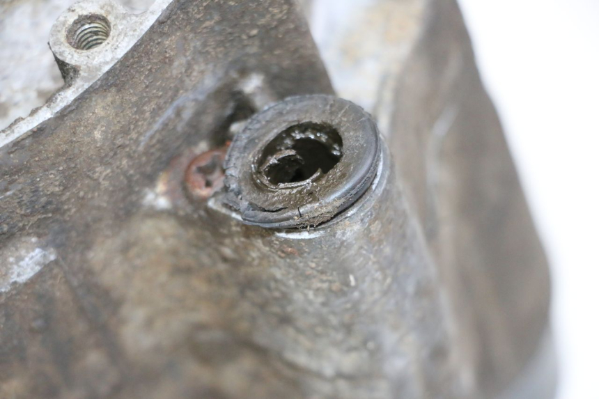 photo de MOTEUR YAMAHA PW 80 (1983 - 2014)