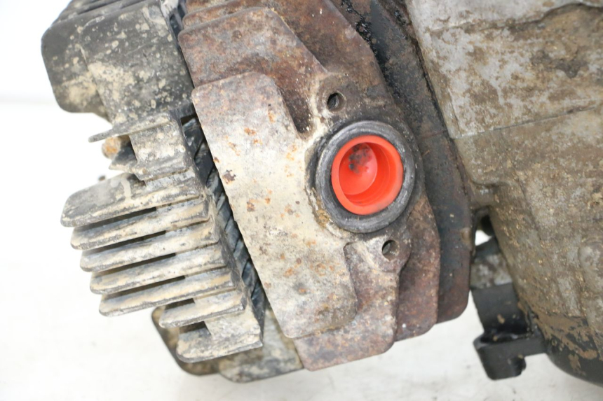 photo de MOTEUR YAMAHA PW 80 (1983 - 2014)