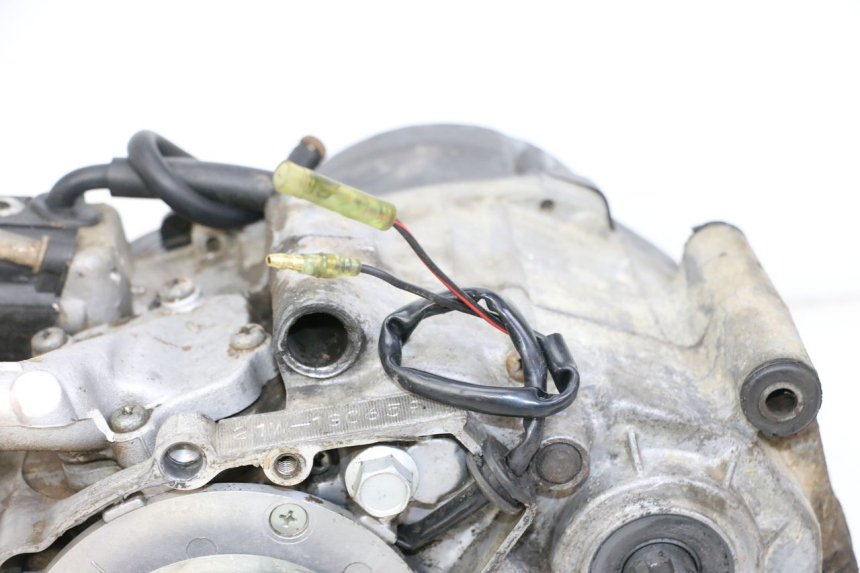photo de MOTEUR YAMAHA PW 80 (1983 - 2014)
