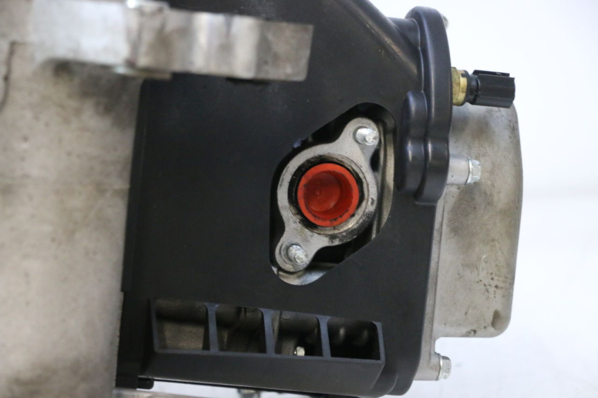 photo de MOTEUR JM MOTORS R-MAX TECH 50 (2024 - 2026) - Autre angle de vue