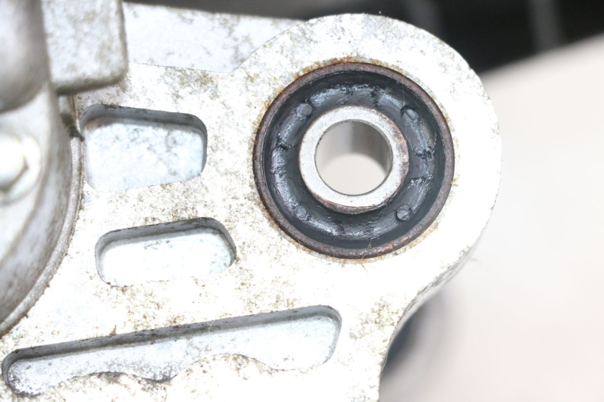 photo de MOTEUR EUROCKA RETRO 50 (2007 - 2014)