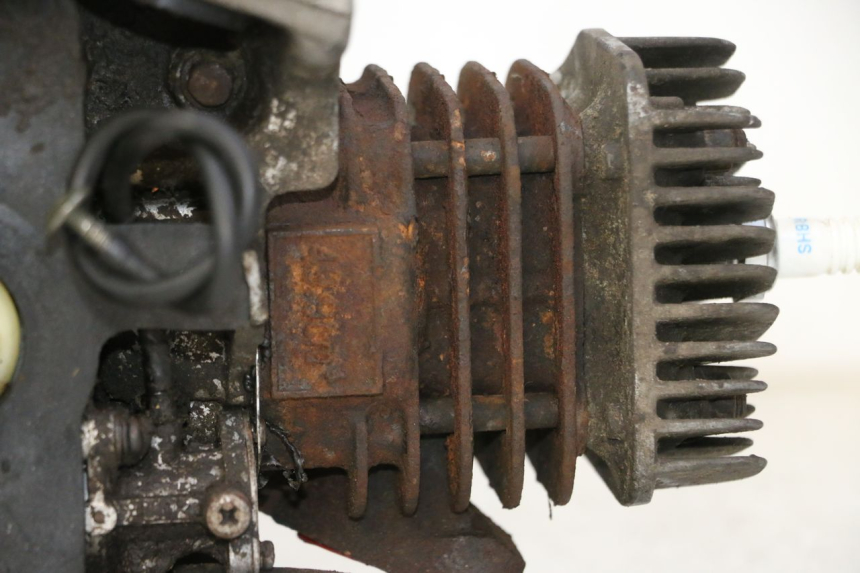 photo de MOTEUR TNT MOTOR ROMA 10' 2T 50 (2011 - 2018)