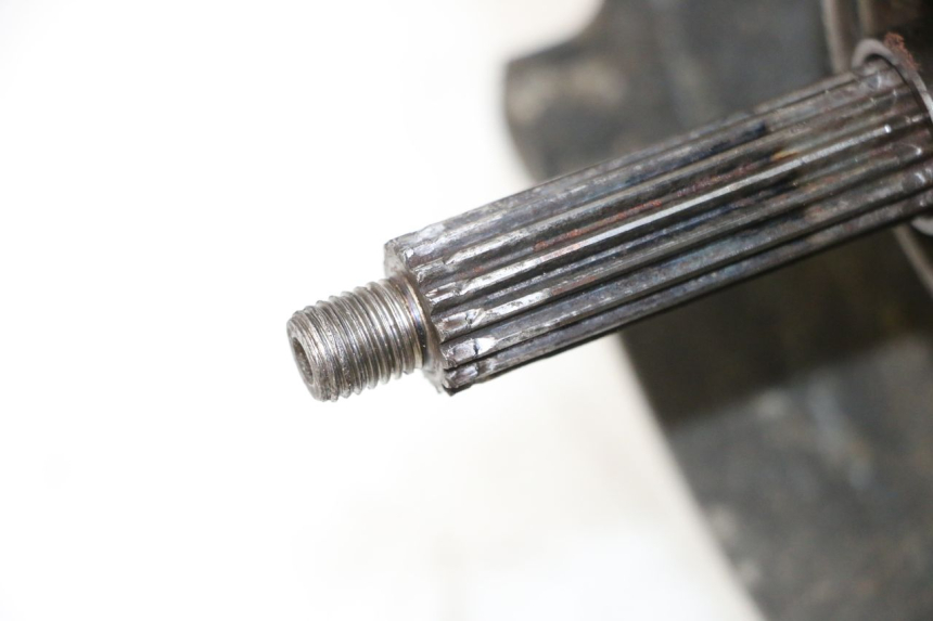 photo de MOTEUR TNT MOTOR ROMA 10' 2T 50 (2011 - 2018)