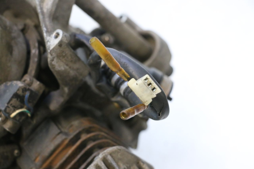 photo de MOTEUR TNT MOTOR ROMA 10' 2T 50 (2011 - 2018) - Gros plan technique