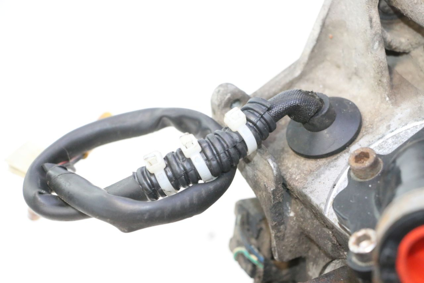 photo de MOTEUR TNT MOTOR ROMA 10' 2T 50 (2011 - 2018) - Pièce contrôlée
