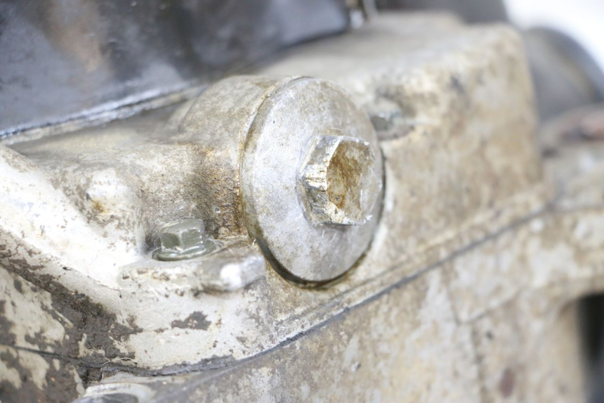 photo de MOTEUR TNT MOTOR ROMA 10' 4T 50 (2019 - 2022)