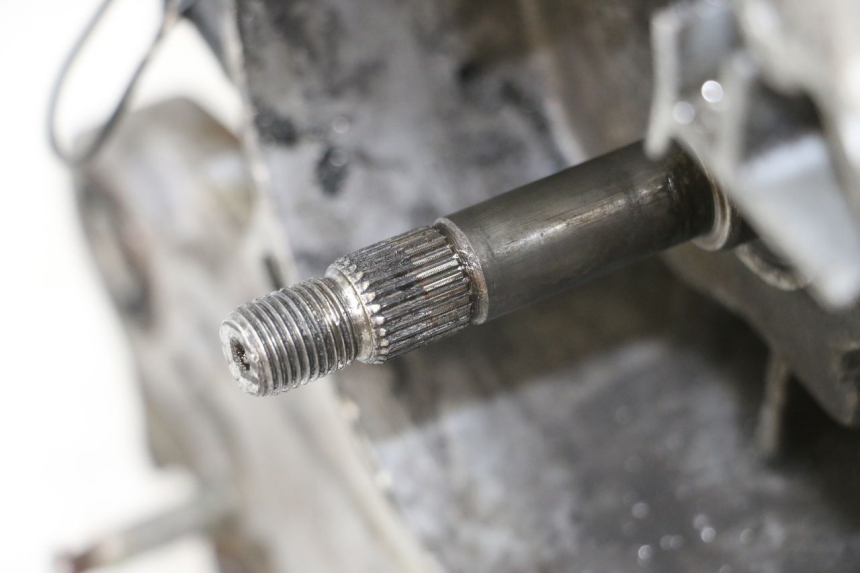 photo de MOTEUR TNT MOTOR ROMA 10' 4T 50 (2019 - 2022)