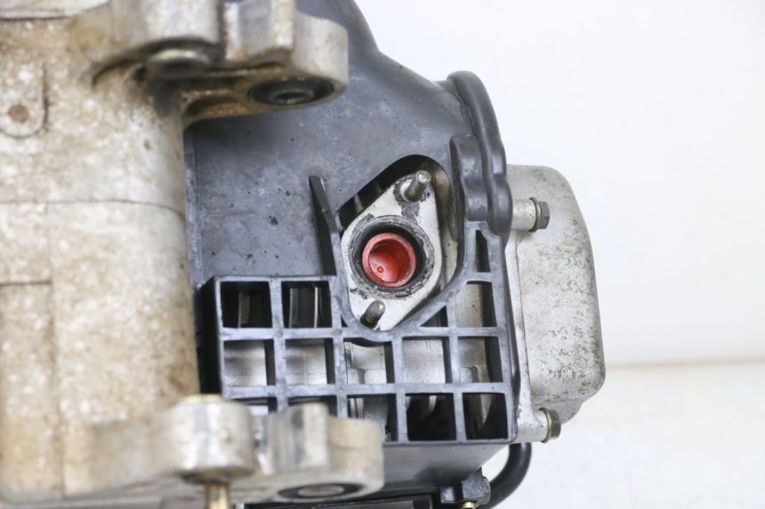 photo de MOTEUR TNT MOTOR ROMA 10' 4T 50 (2019 - 2022) - Vue produit