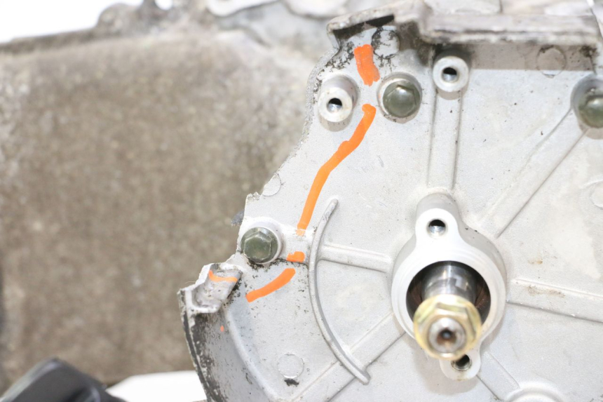 photo de MOTEUR TNT MOTOR ROMA 10' 4T 50 (2007 - 2018) - Zoom composants
