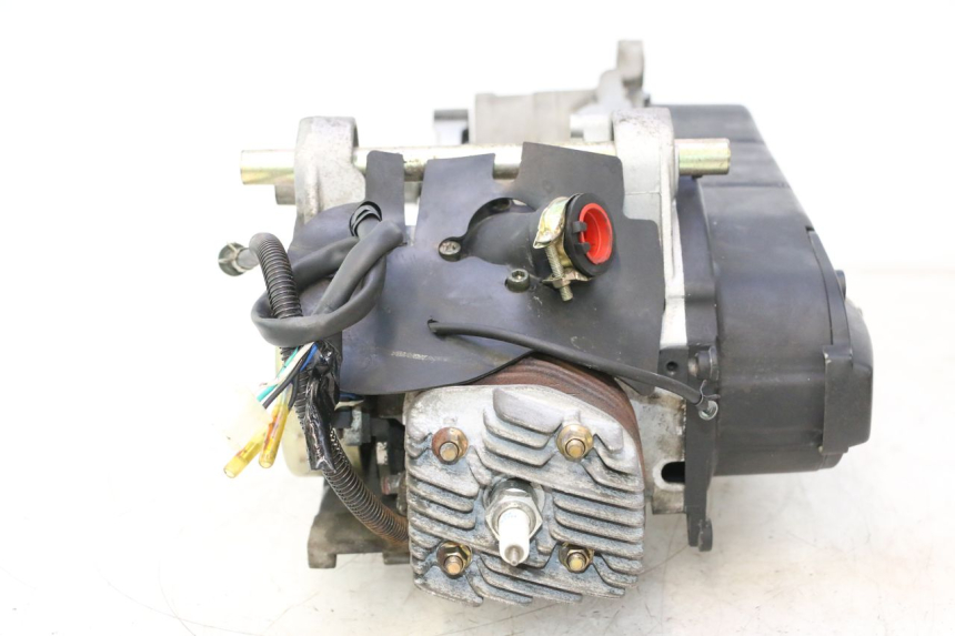 photo de MOTEUR TNT MOTOR ROMA 12' 2T 50 (2007 - 2018) - Focus structure