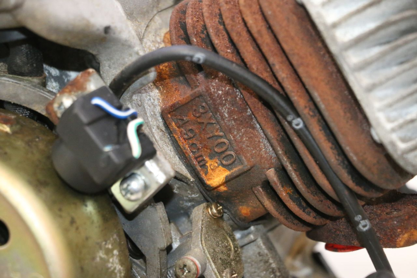 photo de MOTEUR TNT MOTOR ROMA 12' 2T 50 (2007 - 2018) - Aperçu profil