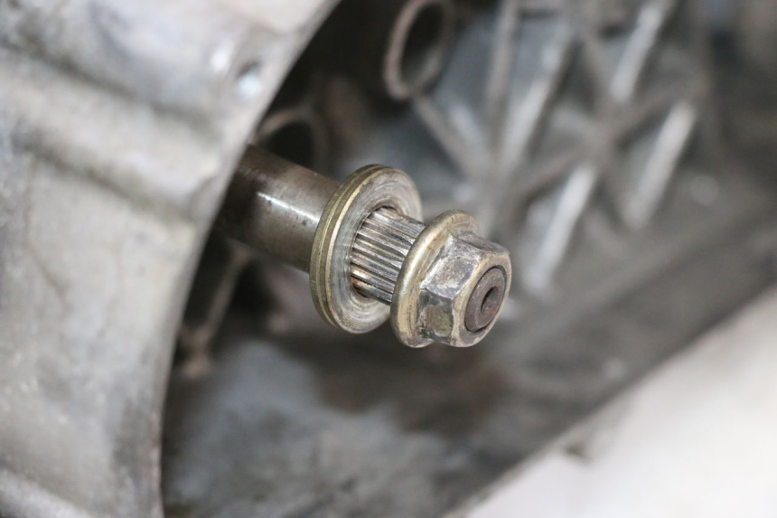 photo de MOTEUR DAELIM S2 125 (2006 - 2007) - Gros plan technique