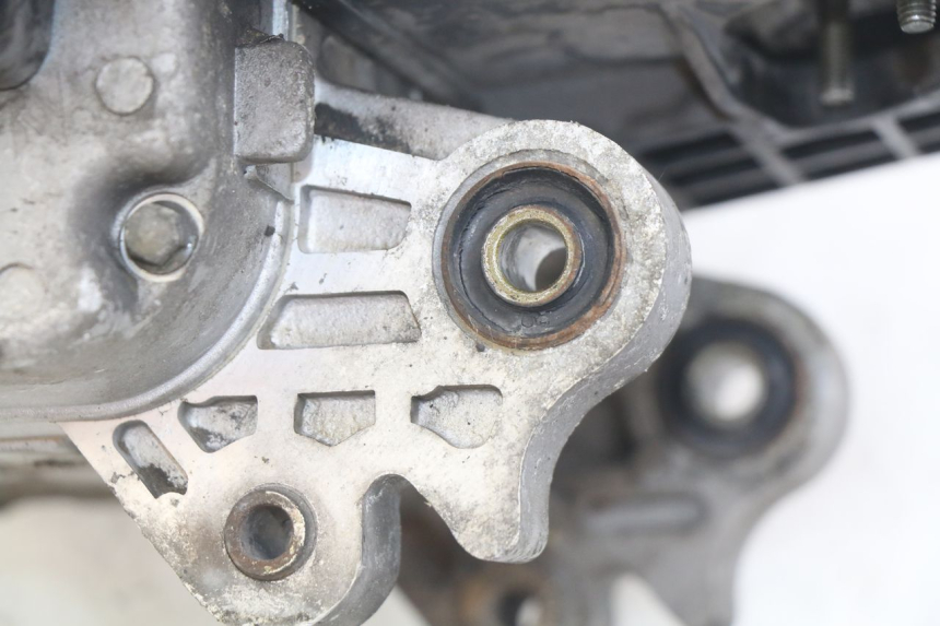 photo de MOTEUR JM MOTORS SANTANA 50 (2014 - 2020)