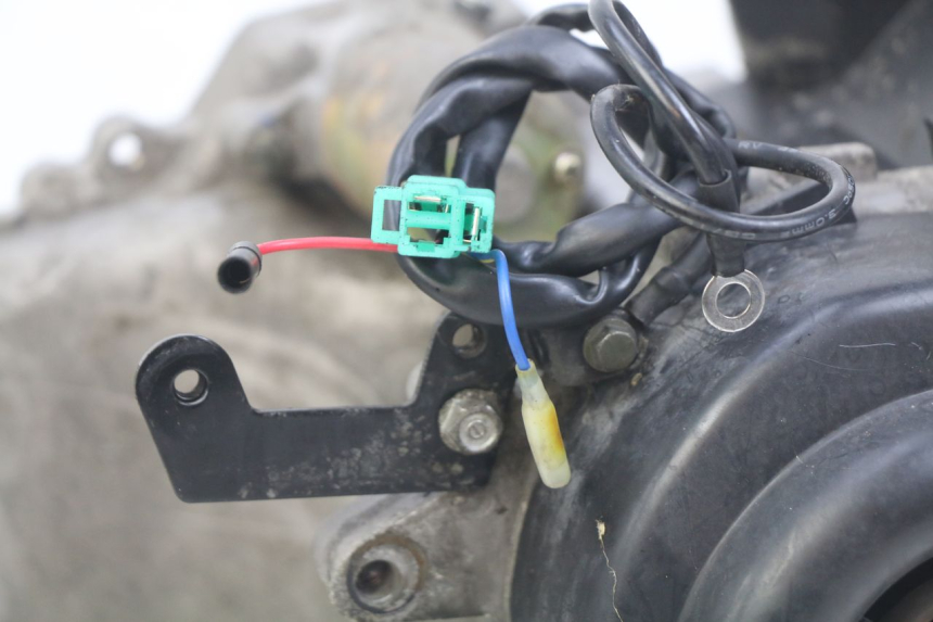 photo de MOTEUR JM MOTORS SANTANA 50 (2014 - 2020)