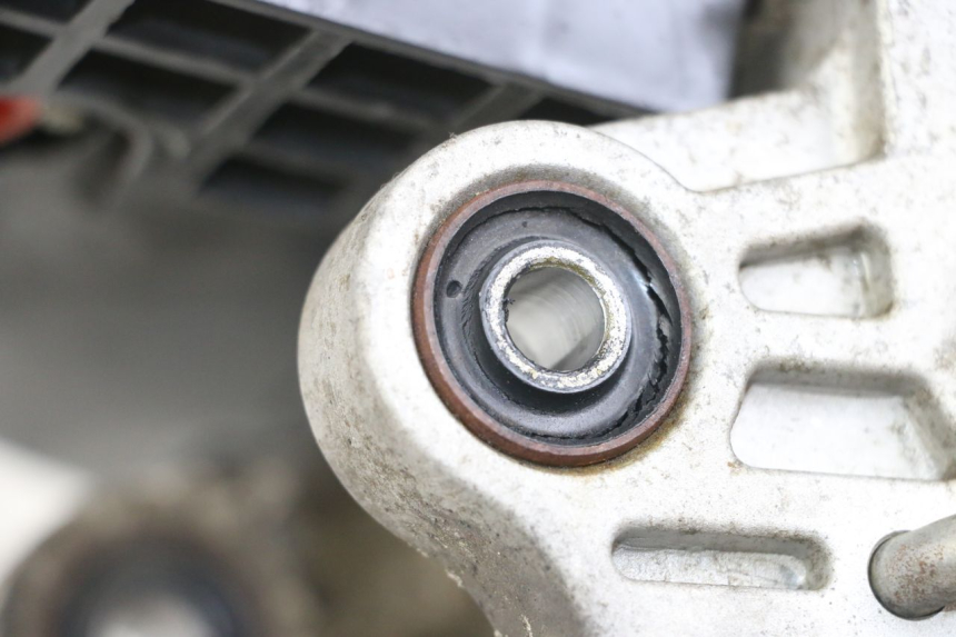 photo de MOTEUR JM MOTORS SANTANA 50 (2014 - 2020)