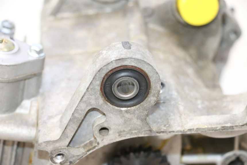 photo de MOTEUR FYM SCOOTERONE 125 (2006 - 2008) - Gros plan technique