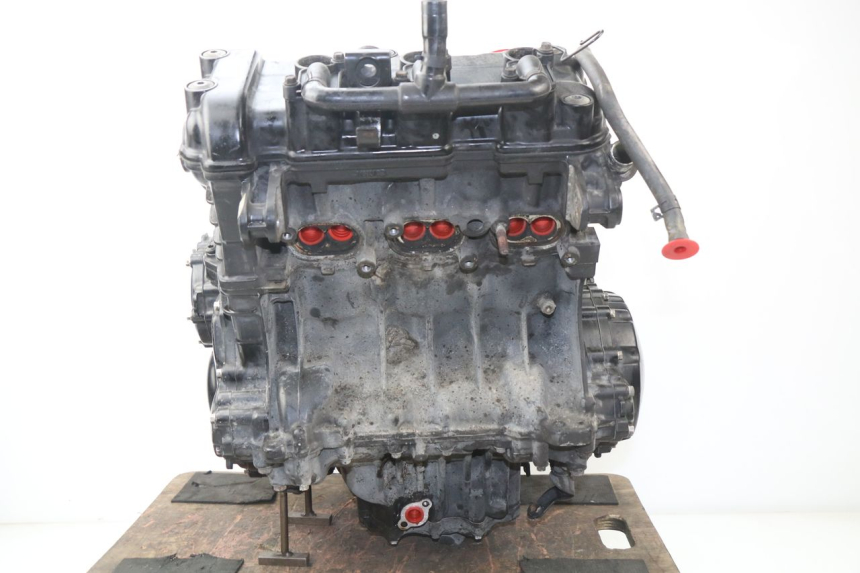 photo de MOTEUR TRIUMPH SPEED TRIPLE 1050 (2005 - 2007)