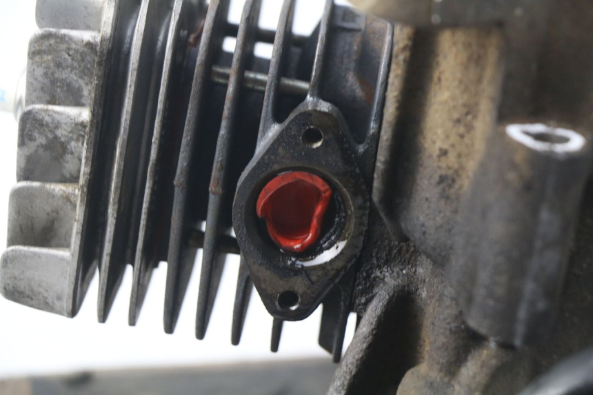 photo de MOTEUR GILERA STALKER 50 (2004 - 2014)