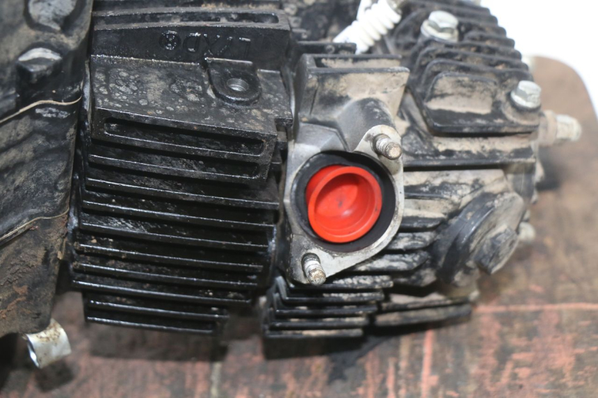 photo de MOTEUR NITRO MOTORS STORM DIRTBIKE 110