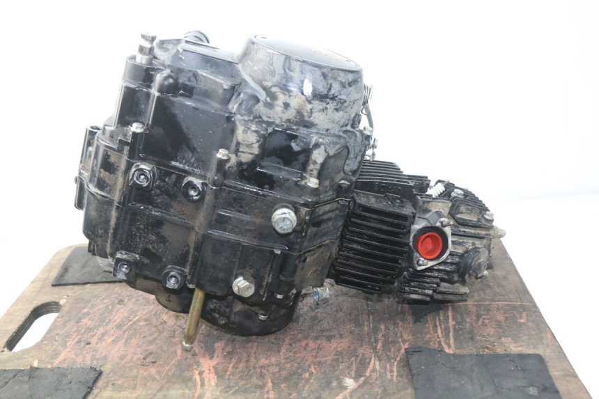 photo de MOTEUR NITRO MOTORS STORM DIRTBIKE 110