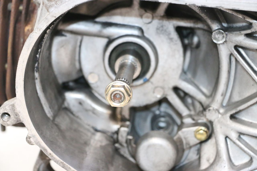 photo de MOTEUR PEUGEOT STREETZONE NAKED 2T 50 (2014 - 2018) - Gros plan technique