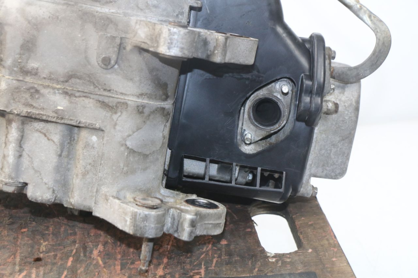 photo de MOTEUR JM MOTORS SUNNY 50 (2017 - 2020)