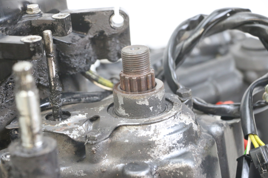 photo de MOTEUR SUZUKI SV N 650 (1999 - 2002)