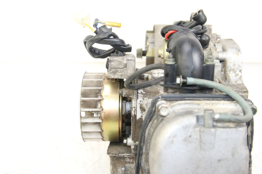 photo de MOTEUR TNT MOTOR ROMA 10' 4T 50 (2007 - 2018)