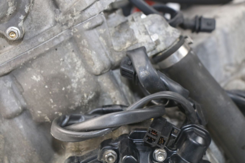 photo de MOTEUR TRIUMPH SPRINT ST ABS 1050 (2005 - 2007)