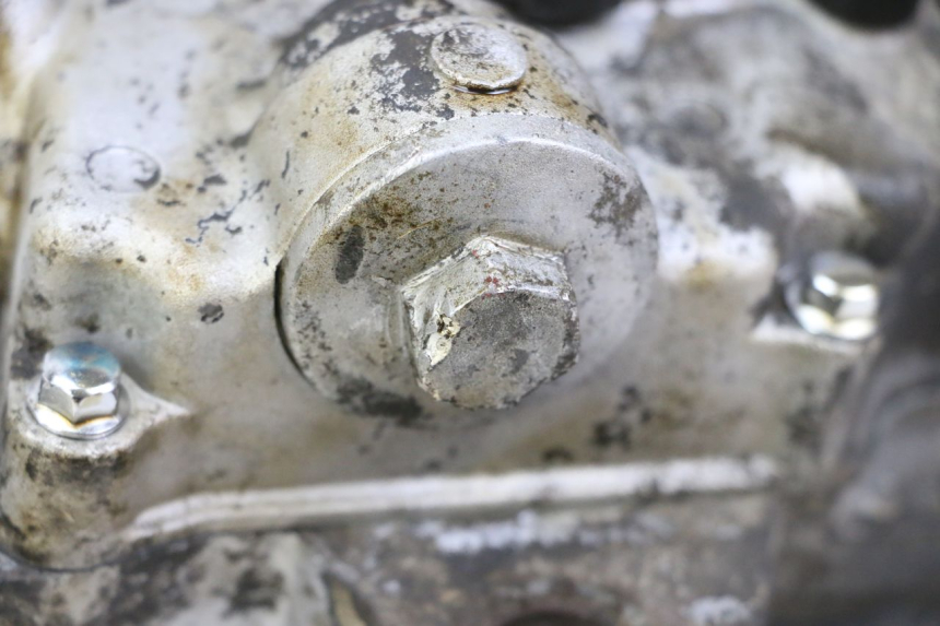 photo de MOTEUR PEUGEOT TWEET PRO CARGO 50 (2018 - 2020)