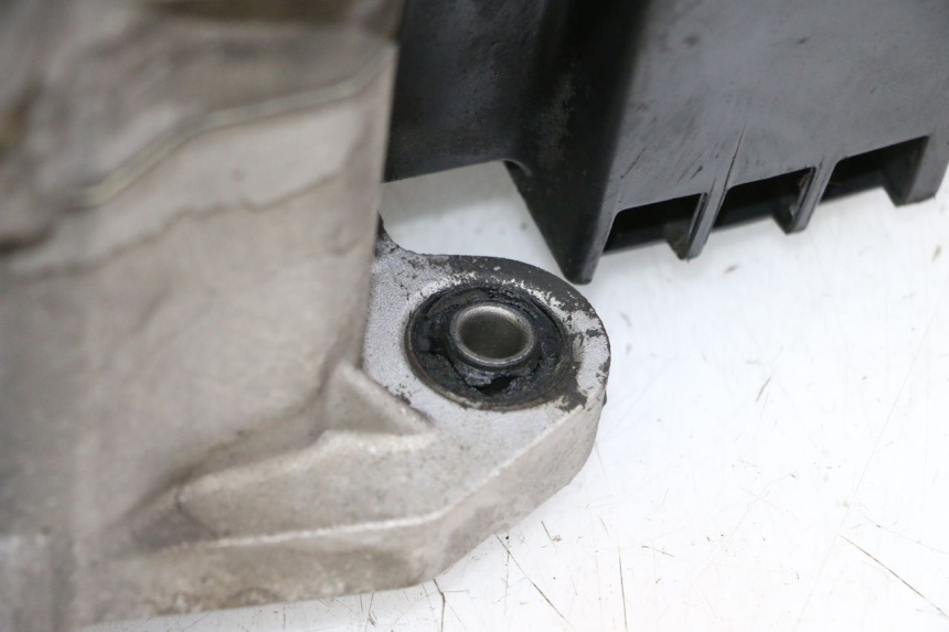 photo de MOTEUR PEUGEOT TWEET PRO CARGO 50 (2018 - 2020)