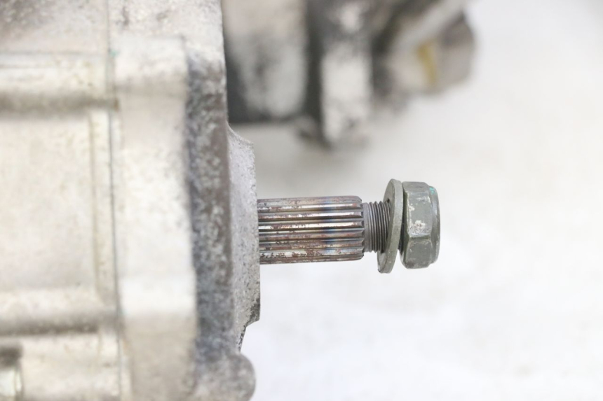 photo de MOTEUR PEUGEOT TWEET PRO CARGO 50 (2018 - 2020)