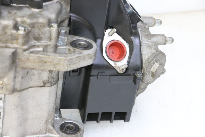 photo de MOTEUR PEUGEOT TWEET PRO EFI 4T 50 (2021 - 2022)