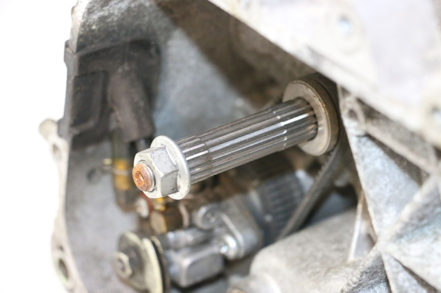 photo de MOTEUR PIAGGIO TYPHOON 50 (2000 - 2009) - Détail de la pièce