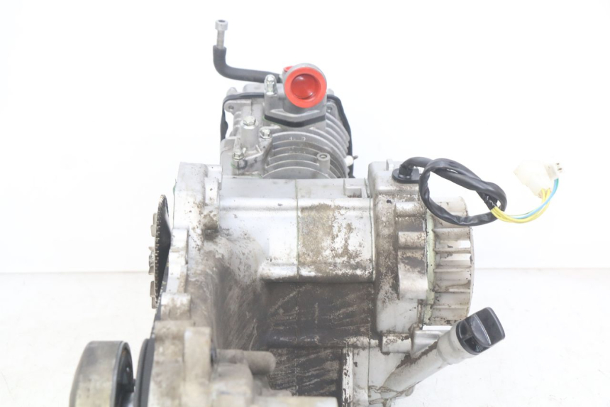 photo de MOTEUR UNIVERSAL BIKE ZN50QT-11B 50 (2018 - 2021)