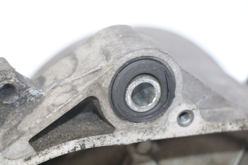 photo de MOTEUR PIAGGIO VESPA PRIMAVERA 2T 50 (2013 - 2018)