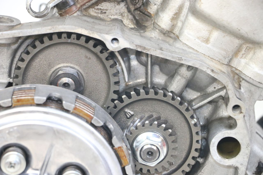 photo de MOTEUR FANTIC XM PERFORMANCE 2T 50 (2021 - 2022)