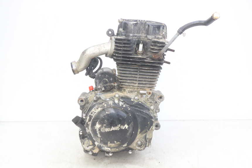 photo de MOTEUR SHINERAY XY250 STXE 250 (2006 - 2012)