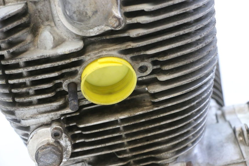 photo de MOTEUR YAMAHA XV VIRAGO 535 (1988 - 2004)