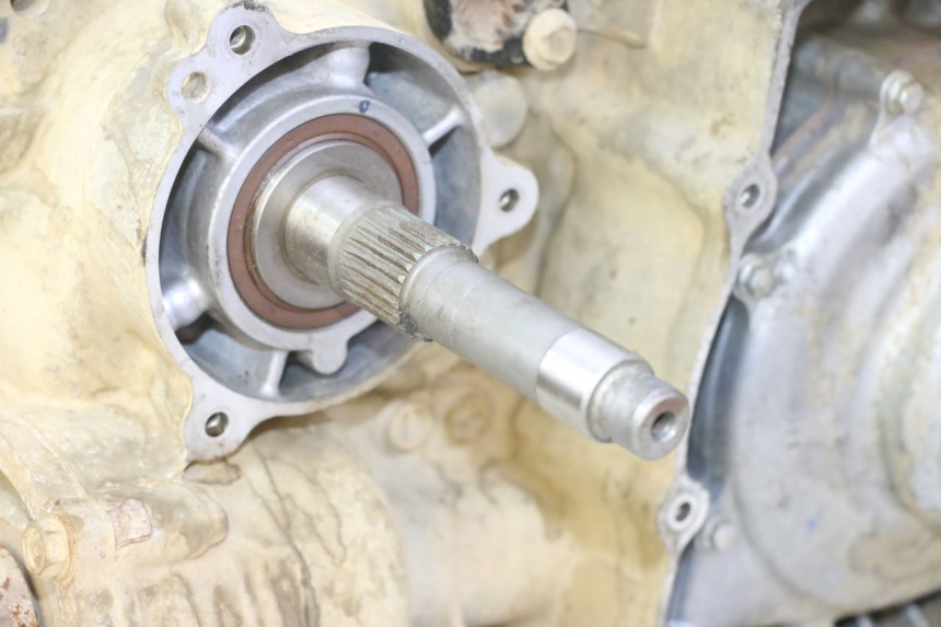 photo de MOTEUR YAMAHA YFM GRIZZLY 550 (2008 - 2015)