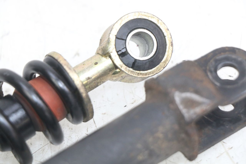 photo de PAIRE AMORTISSEUR ARRIERE PEUGEOT SV 125 (1991 - 1994)
