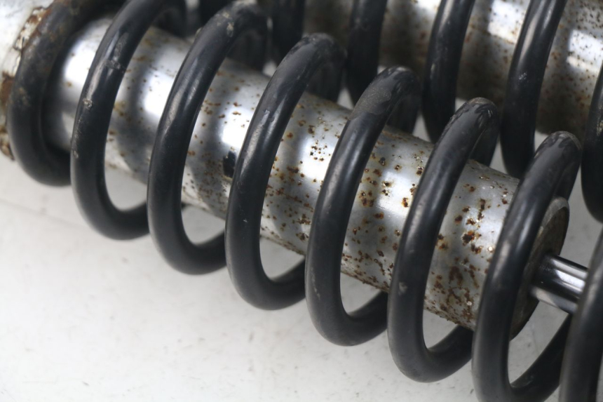 photo de PAIRE AMORTISSEUR ARRIERE DAELIM S3 125 (2010 - 2017)