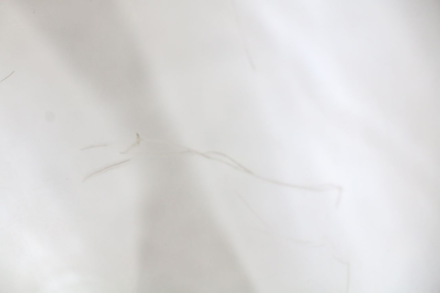 photo de PARE BRISE YAMAHA YP MAJESTY 125 (2007 - 2010)