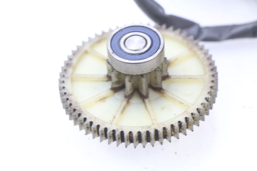 photo de PIGNON SUZUKI BURGMAN 650 (2002 - 2004)